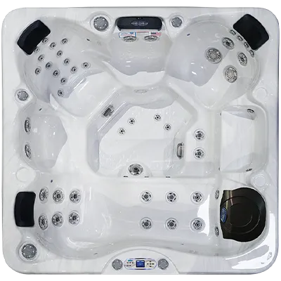 Avalon EC-849L hot tubs for sale in Gunnison